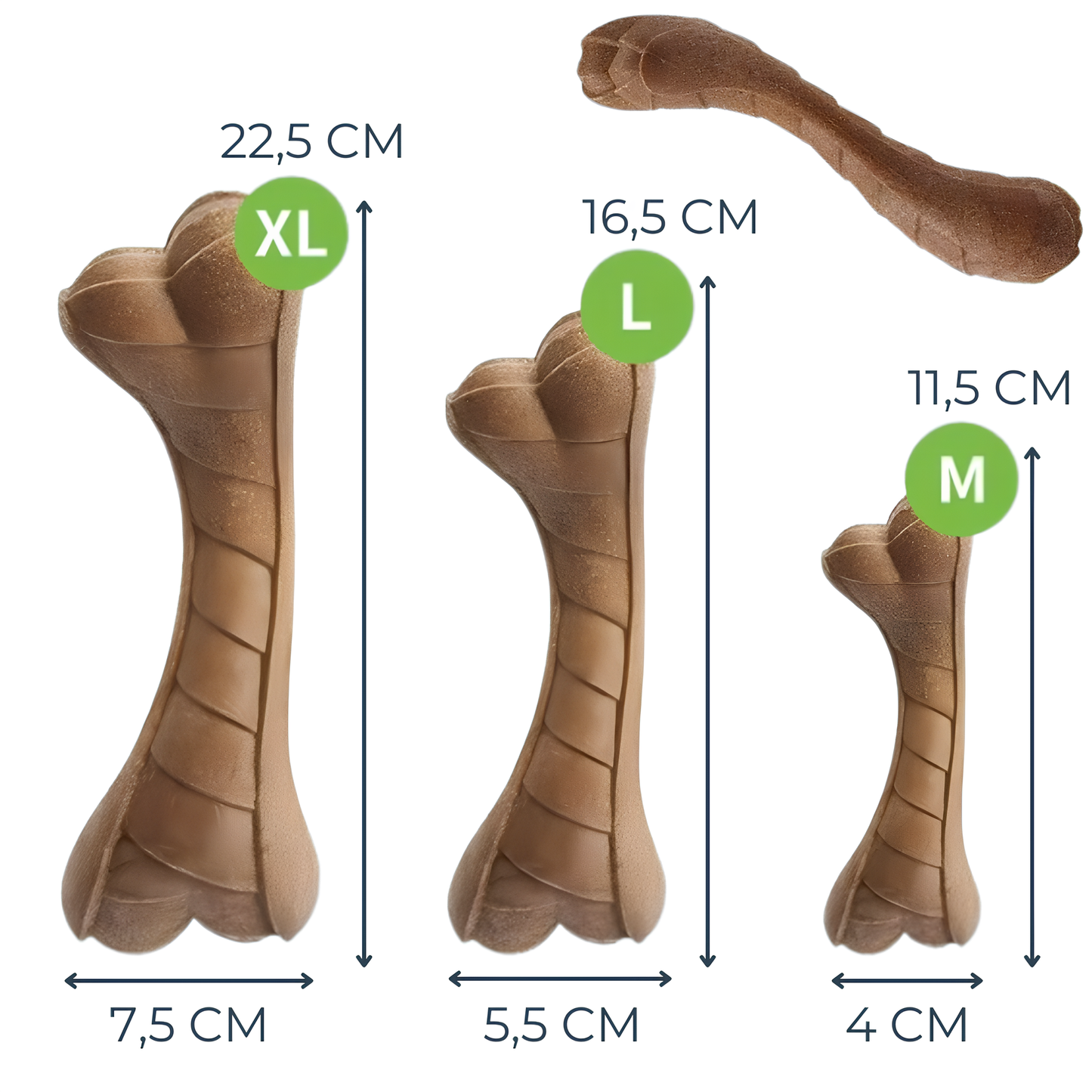 Os en bois de Pin Incurvé – Soin Dentaire et Divertissement