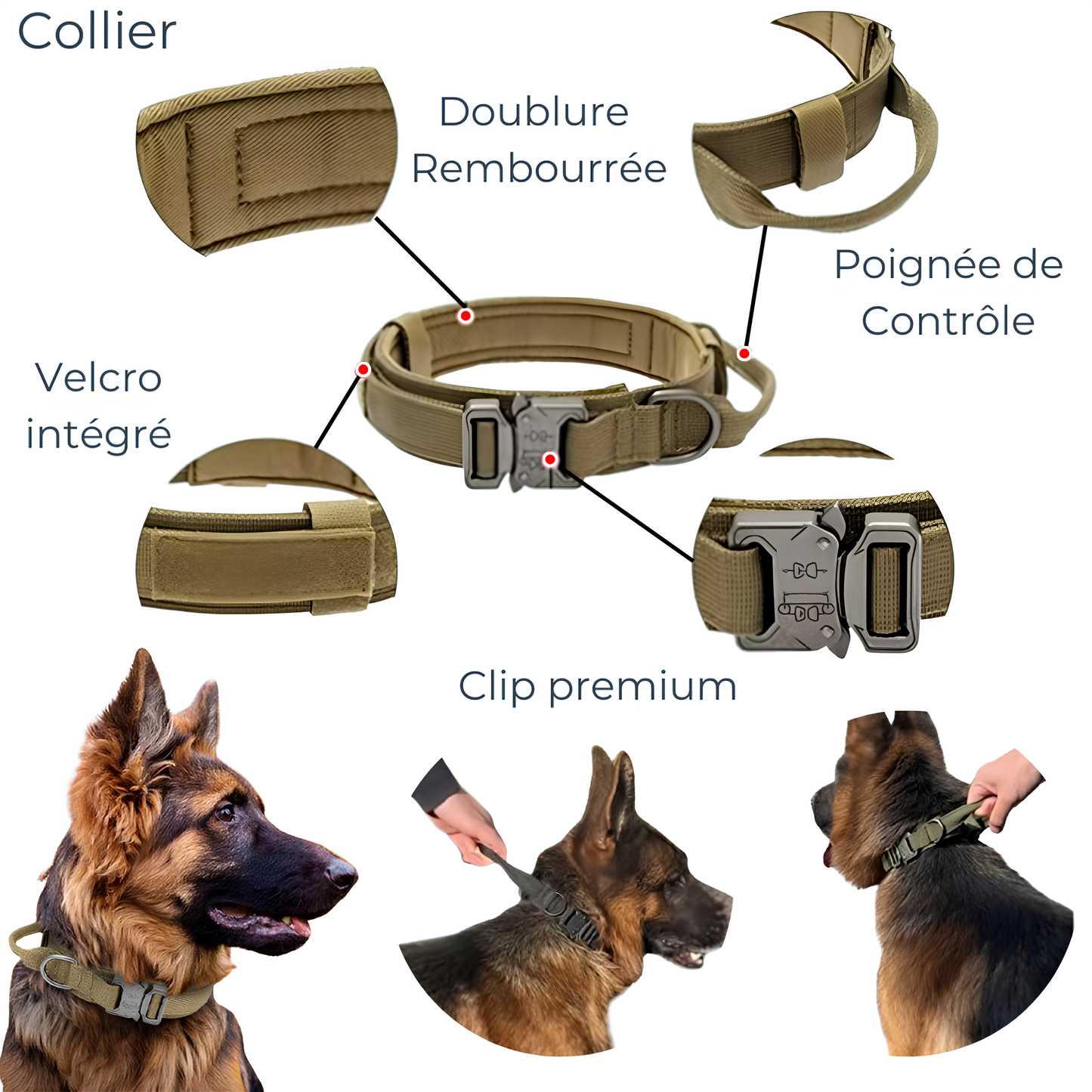 Collier seul ou Kit Collier + Laisse Tactique - Confort et Sécurité pour Moyens et Grands Chiens
