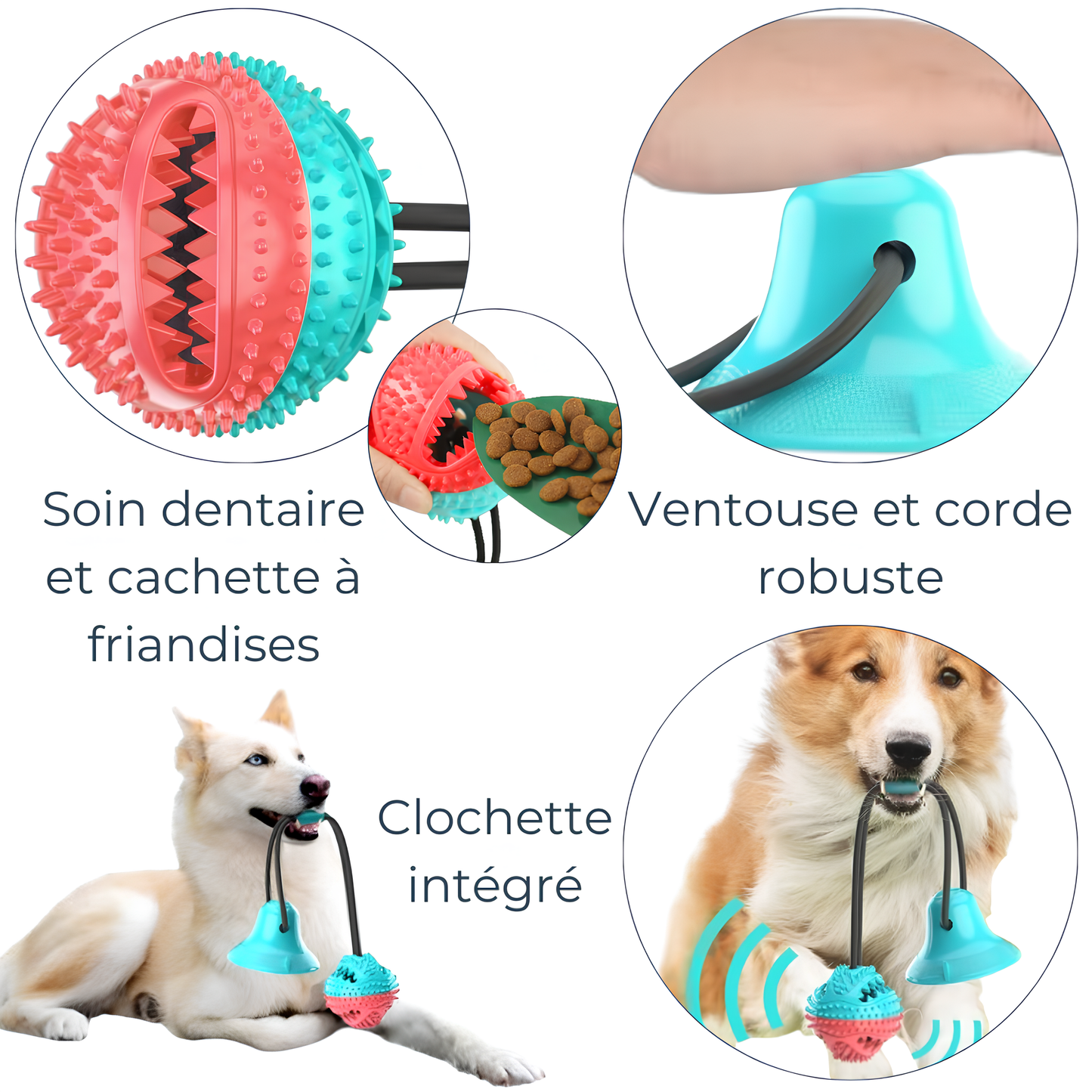 Jouet à Mâcher avec Ventouse – Divertissement, Stimulation et Soin Dentaire
