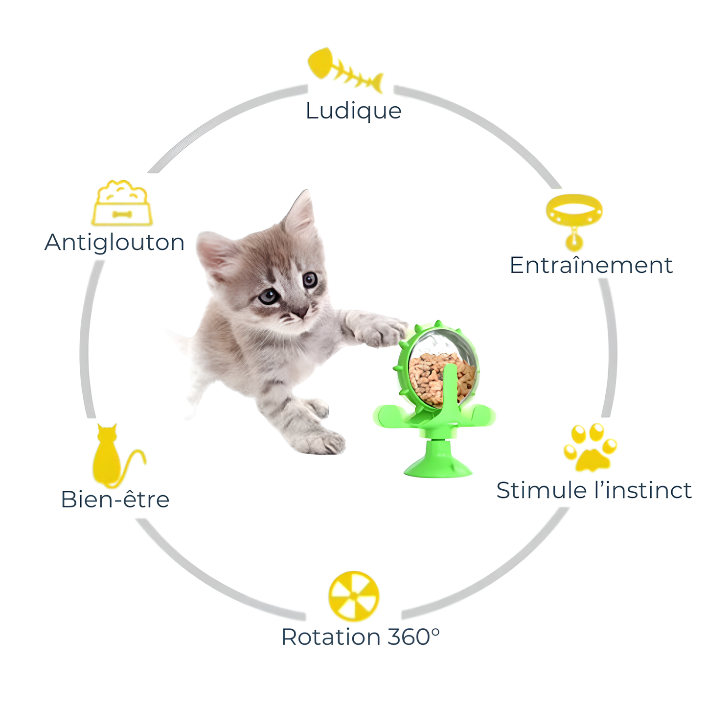 Jouet interactif et distributeur de nourriture – La roue qui rend les repas amusants !