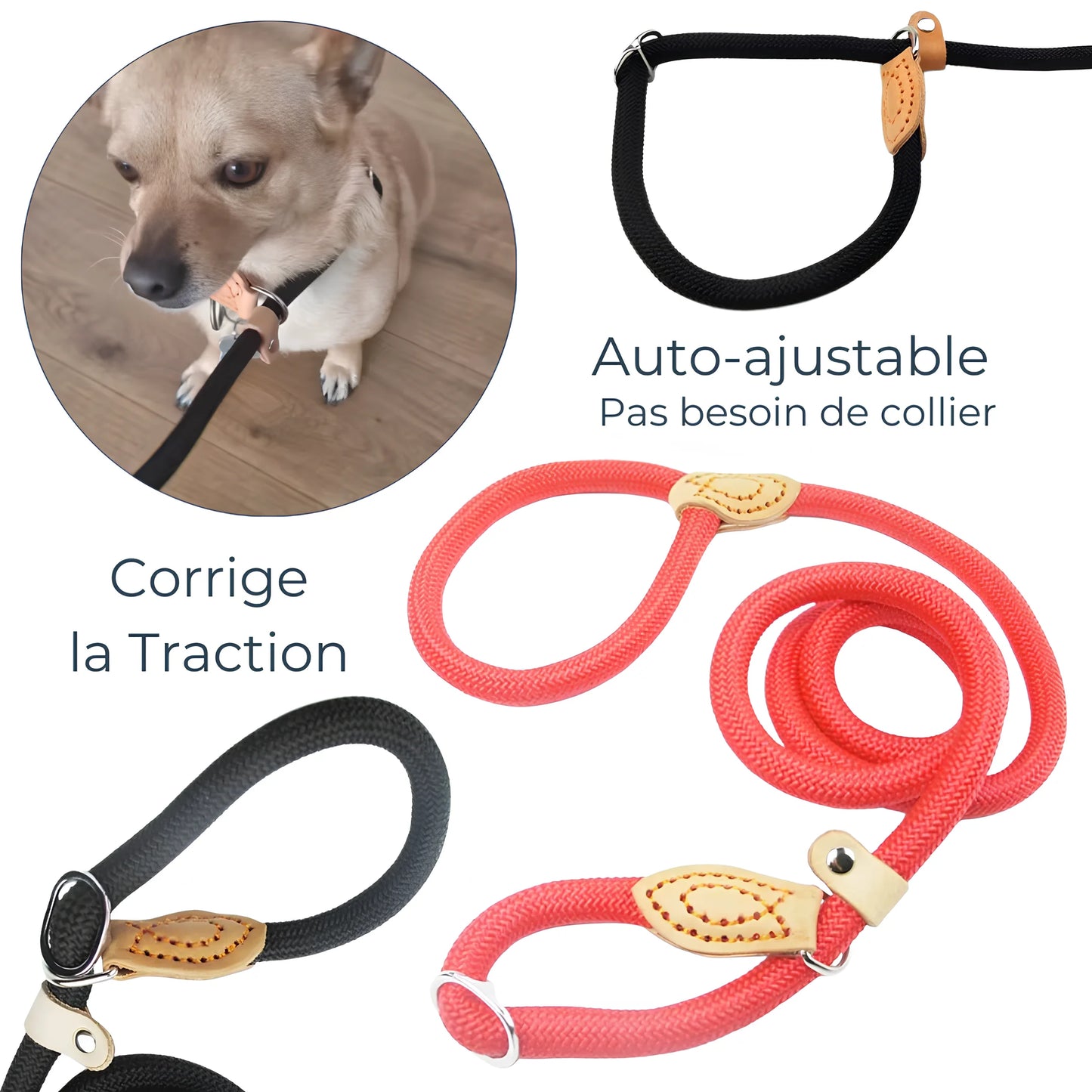 Laisse de Dressage à Glissière – Contrôle Doux et Pratique au Quotidien