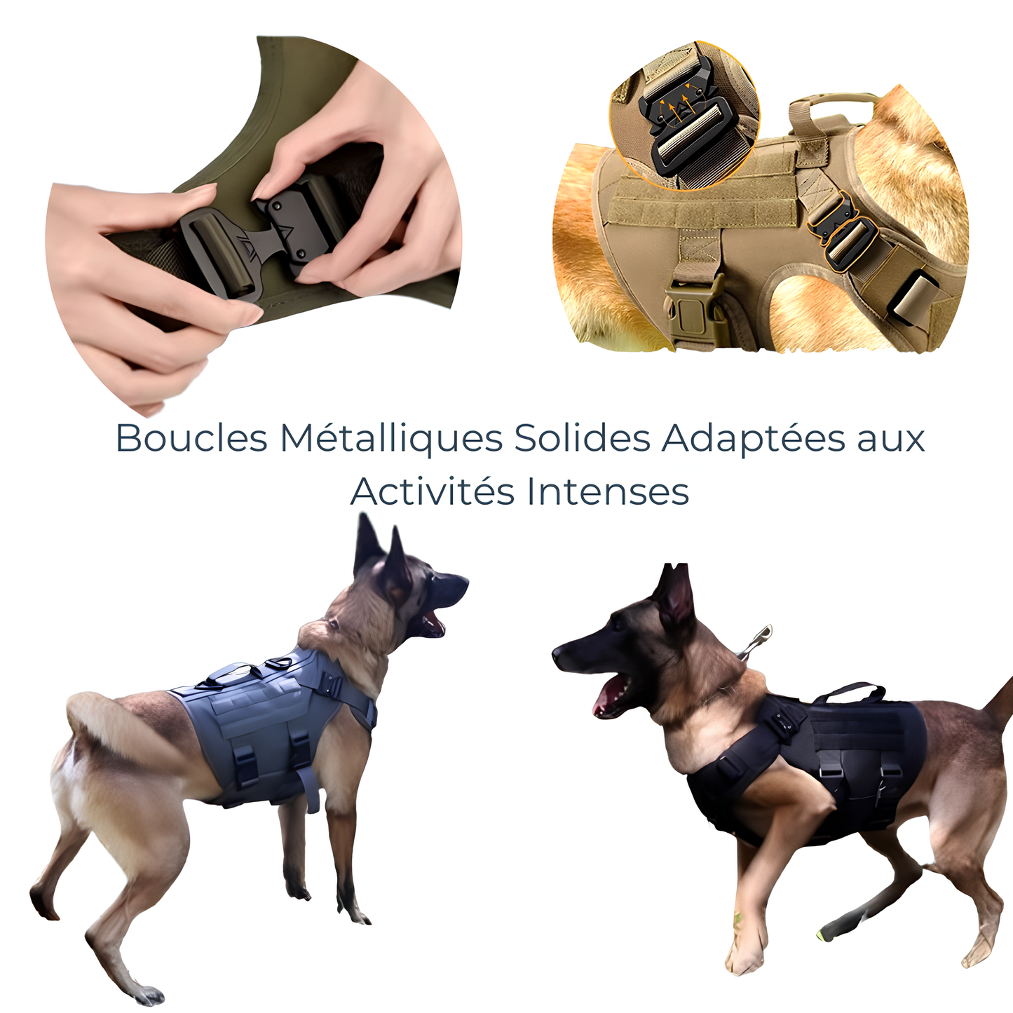 Harnais Tactique - Disponible Seul, en Kit avec Laisse, ou en Kit Complet avec Pochettes