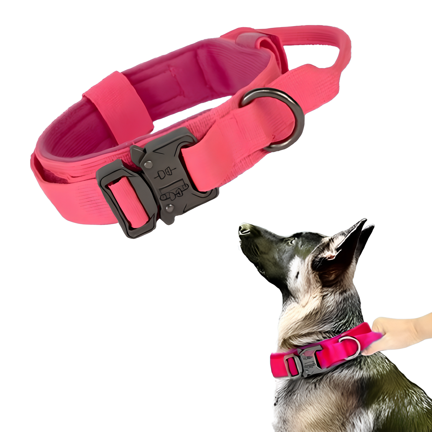 Collier seul ou Kit Collier + Laisse Tactique - Confort et Sécurité pour Moyens et Grands Chiens