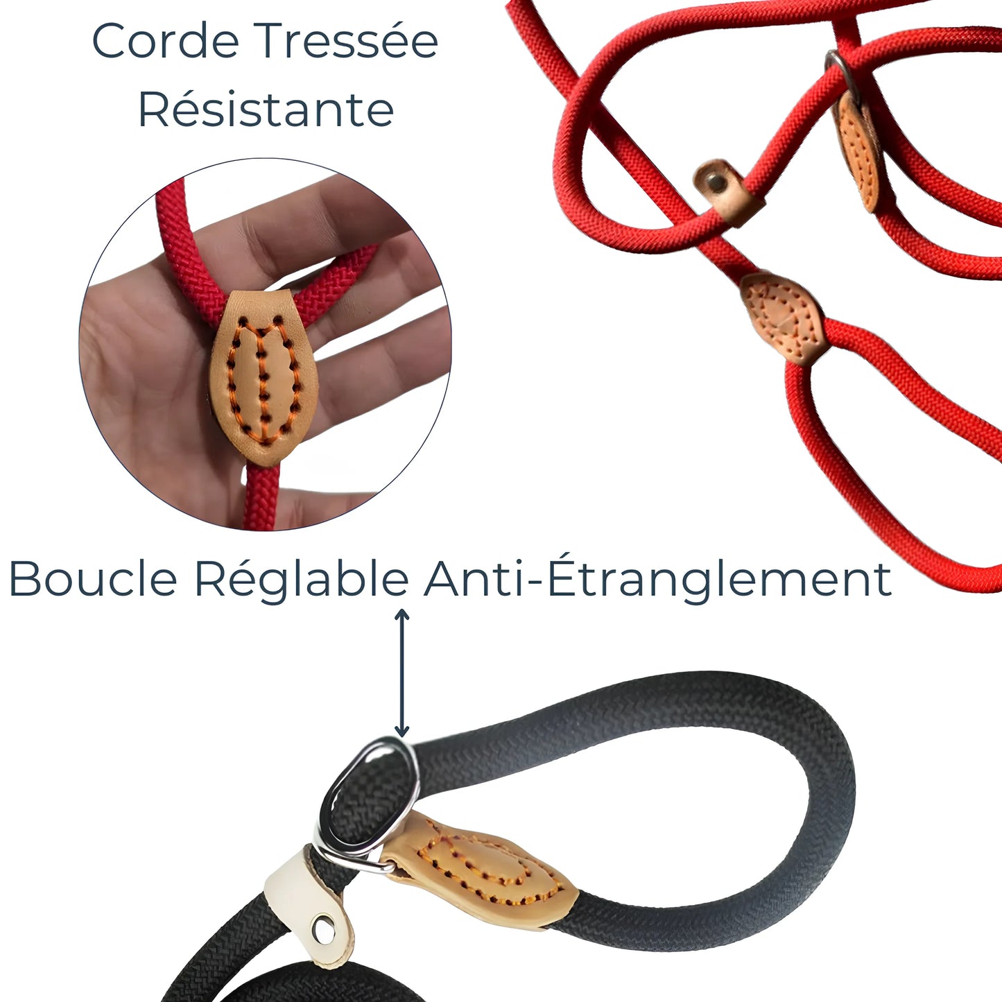 Laisse de Dressage à Glissière – Contrôle Doux et Pratique au Quotidien