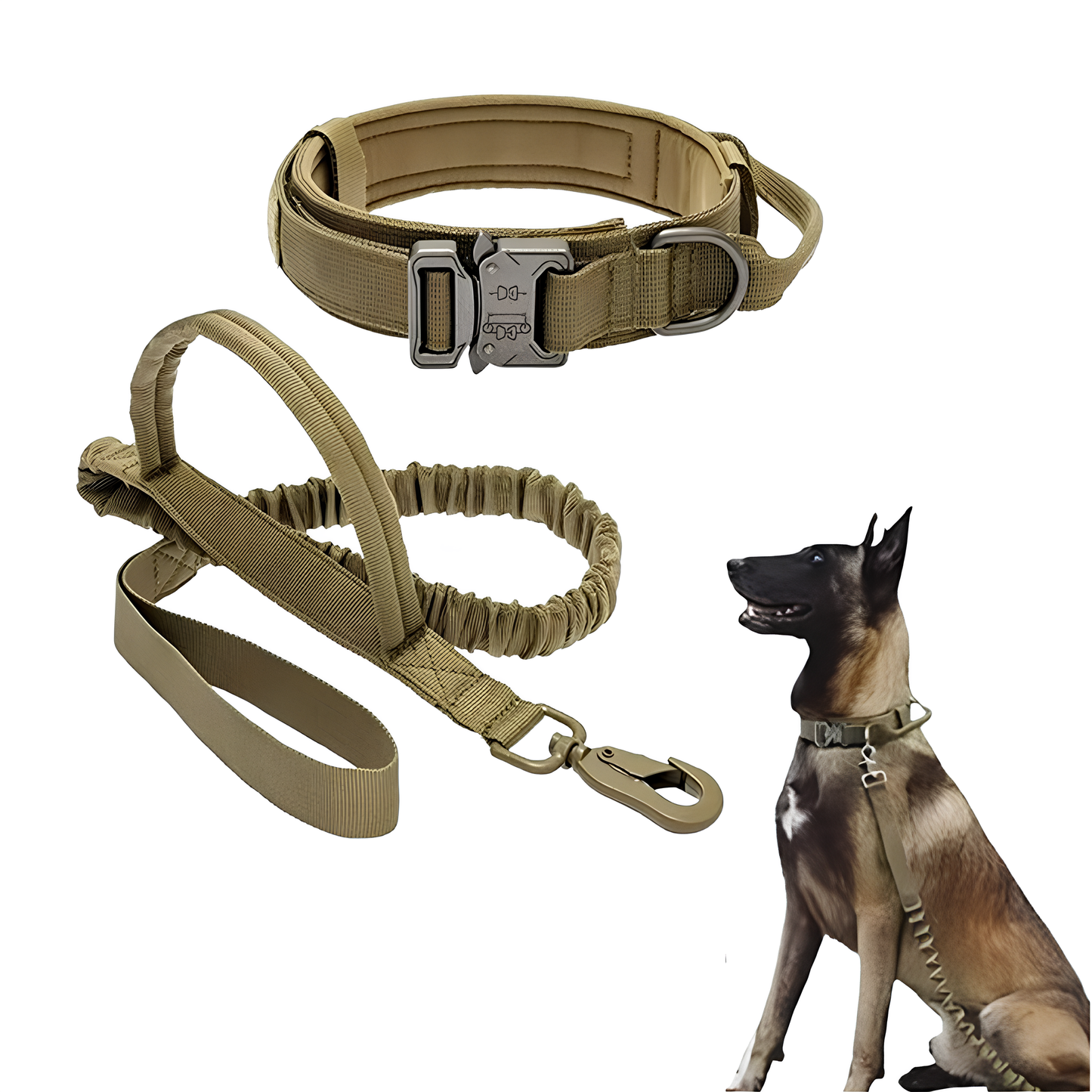 Collier seul ou Kit Collier + Laisse Tactique - Confort et Sécurité pour Moyens et Grands Chiens
