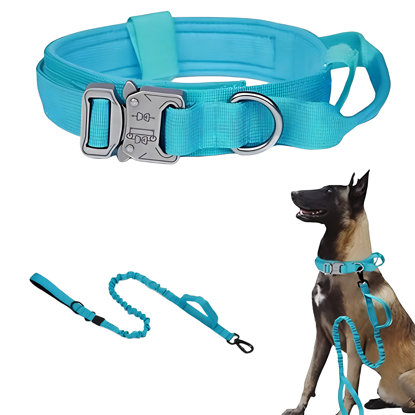 Collier seul ou Kit Collier + Laisse Tactique - Confort et Sécurité pour Moyens et Grands Chiens