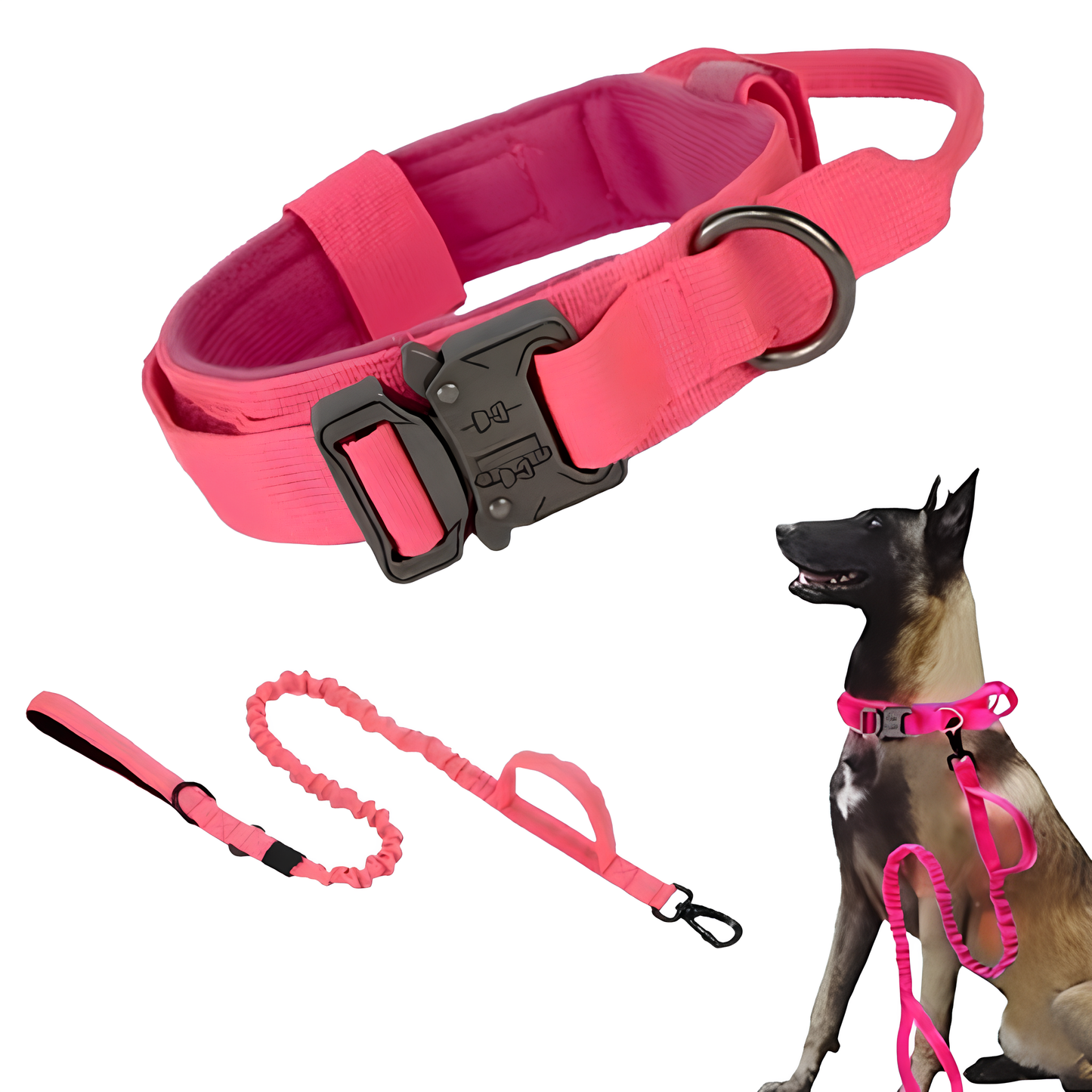 Collier seul ou Kit Collier + Laisse Tactique - Confort et Sécurité pour Moyens et Grands Chiens