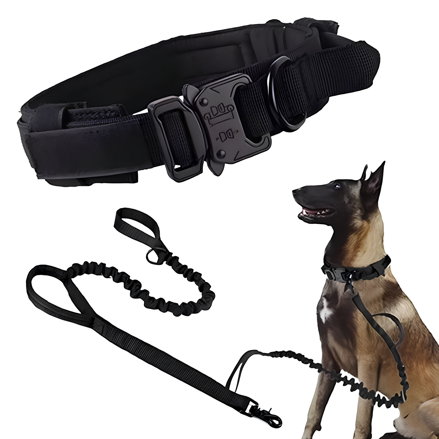 Collier seul ou Kit Collier + Laisse Tactique - Confort et Sécurité pour Moyens et Grands Chiens