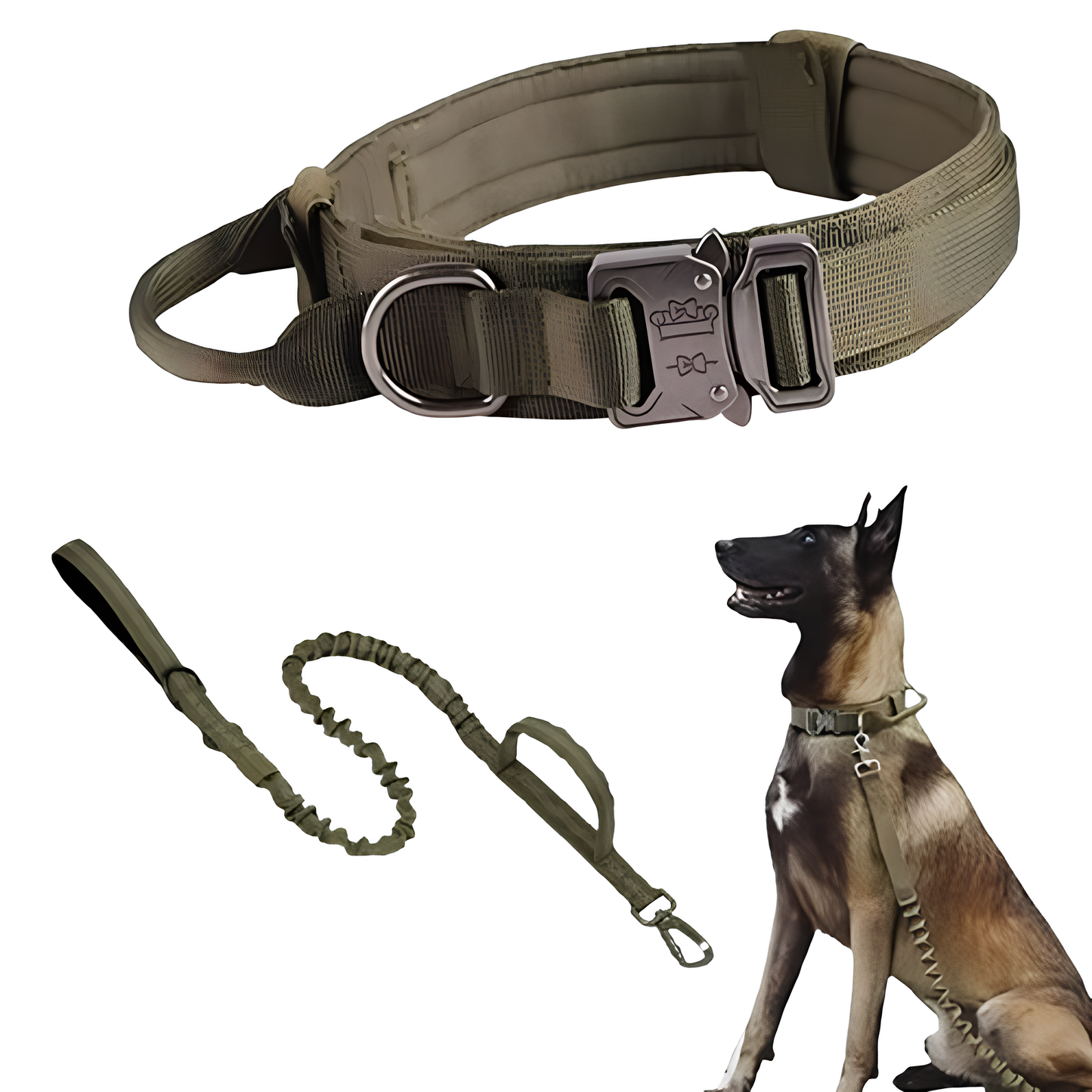 Collier seul ou Kit Collier + Laisse Tactique - Confort et Sécurité pour Moyens et Grands Chiens