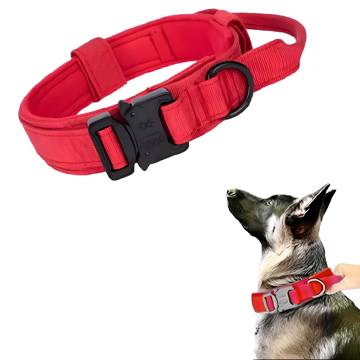 Collier seul ou Kit Collier + Laisse Tactique - Confort et Sécurité pour Moyens et Grands Chiens