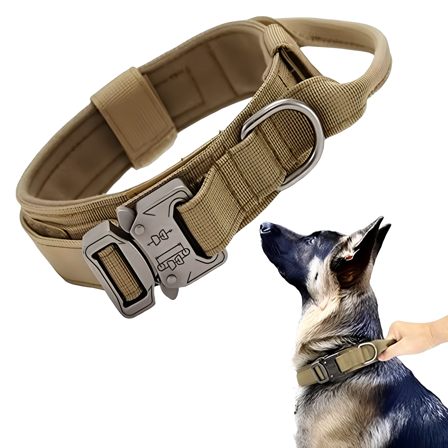 Collier seul ou Kit Collier + Laisse Tactique - Confort et Sécurité pour Moyens et Grands Chiens