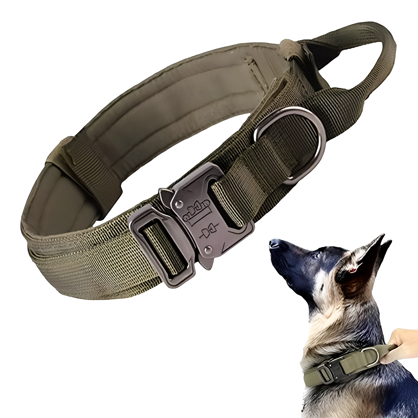 Collier seul ou Kit Collier + Laisse Tactique - Confort et Sécurité pour Moyens et Grands Chiens