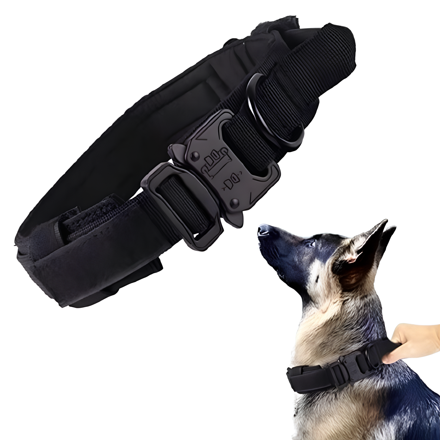 Collier seul ou Kit Collier + Laisse Tactique - Confort et Sécurité pour Moyens et Grands Chiens