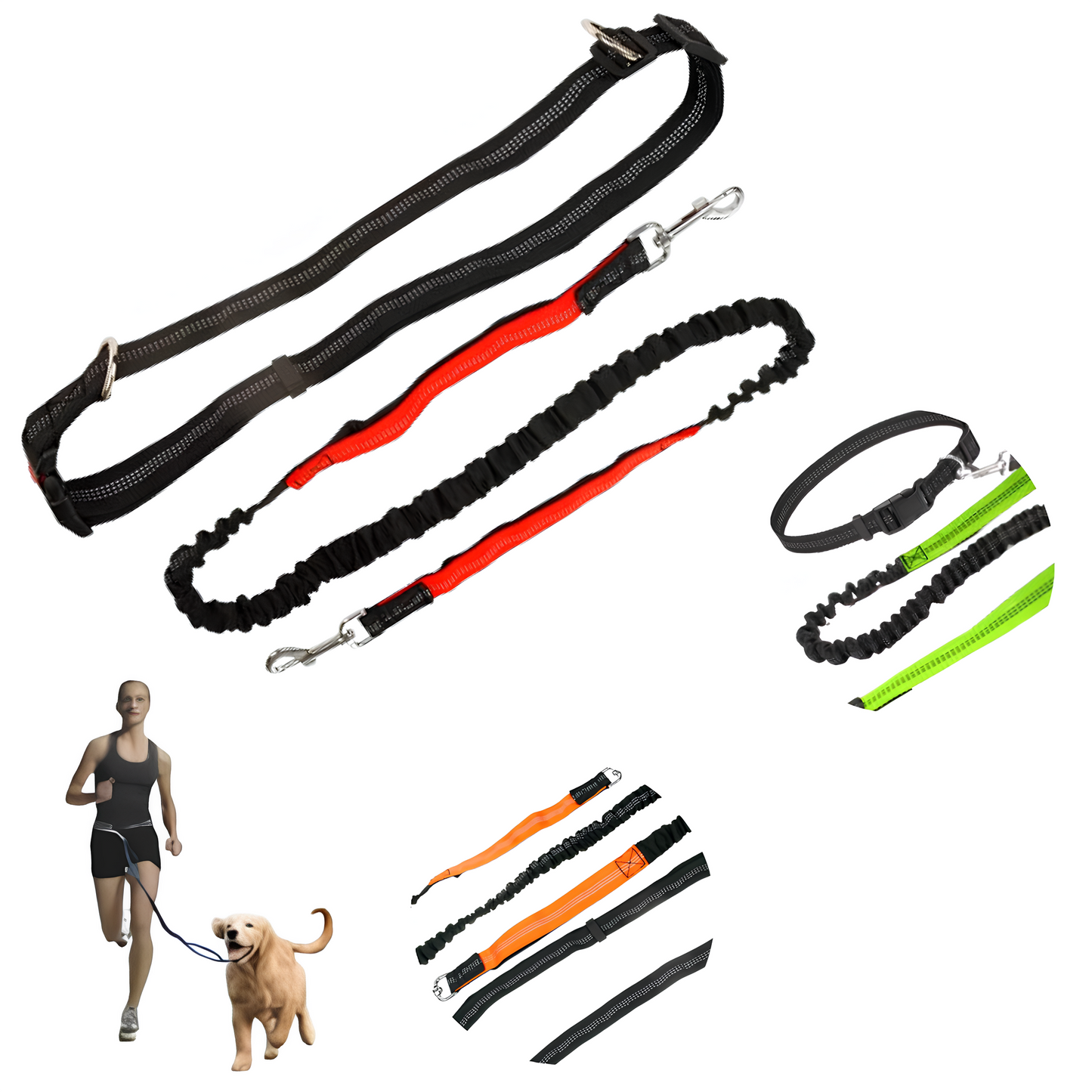 Laisse Extensible Mains Libres - Idéale pour le Sport et les Balades