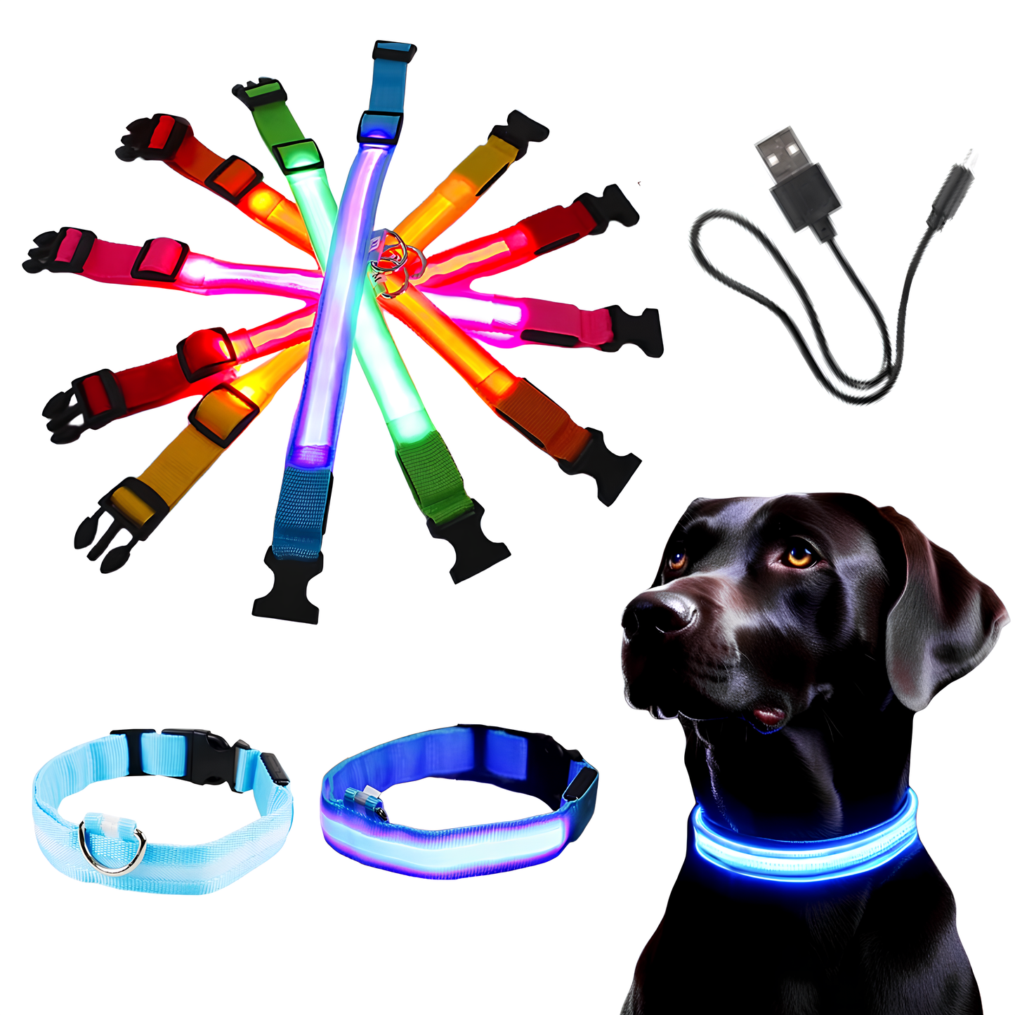 Collier Lumineux LED Rechargeable – Sécurité Nocturne Anti-Perte