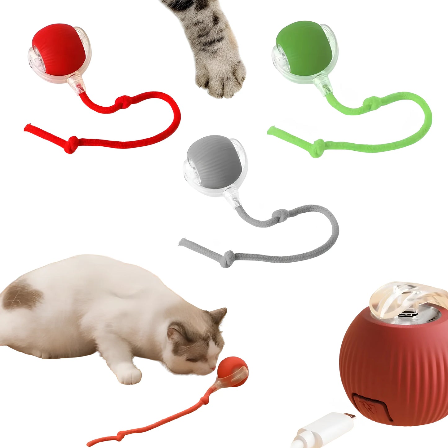 Balle Intelligente avec Corde – Stimulation Dynamique
