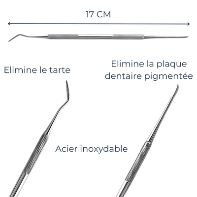 Grattoir à Dents en Acier Inoxydable