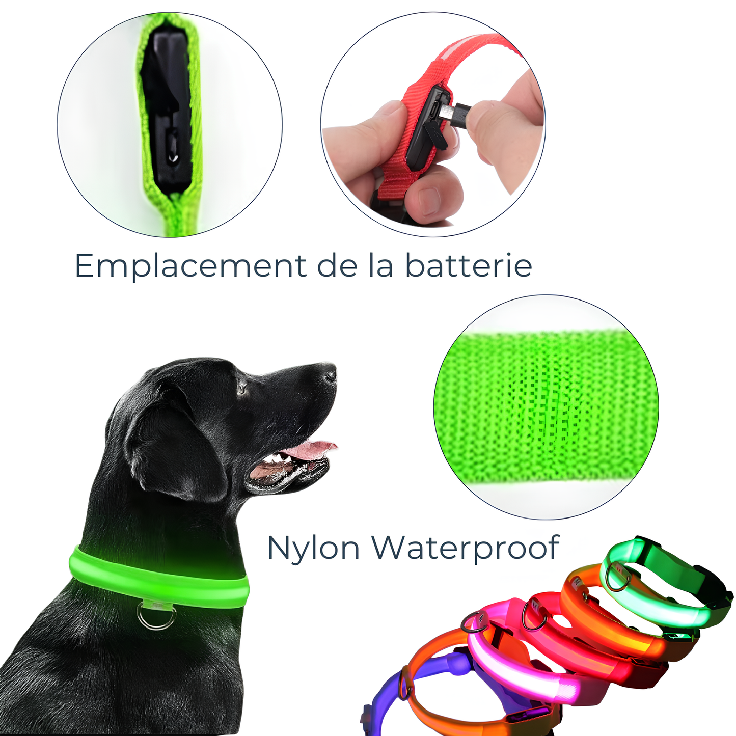 Collier Lumineux LED Rechargeable – Sécurité Nocturne Anti-Perte