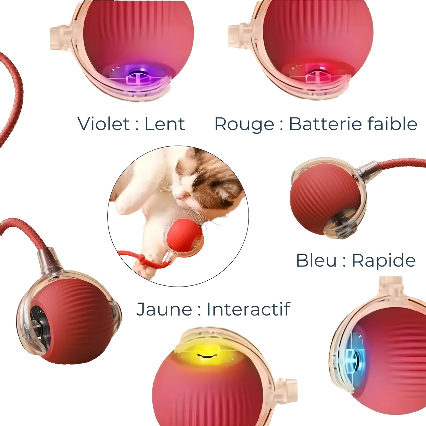 Balle Intelligente avec Corde – Stimulation Dynamique