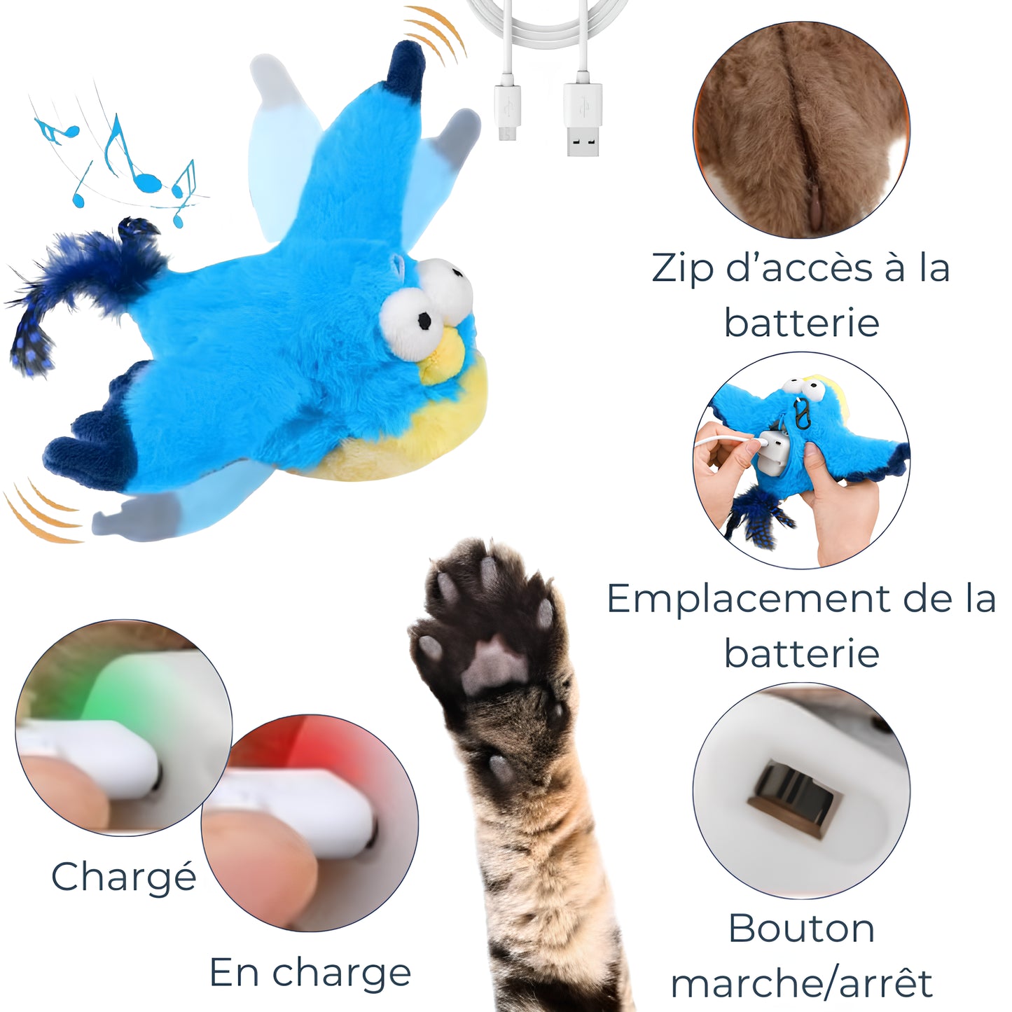 Oiseau Interactif Automatique – Bat des Ailes et Chante
