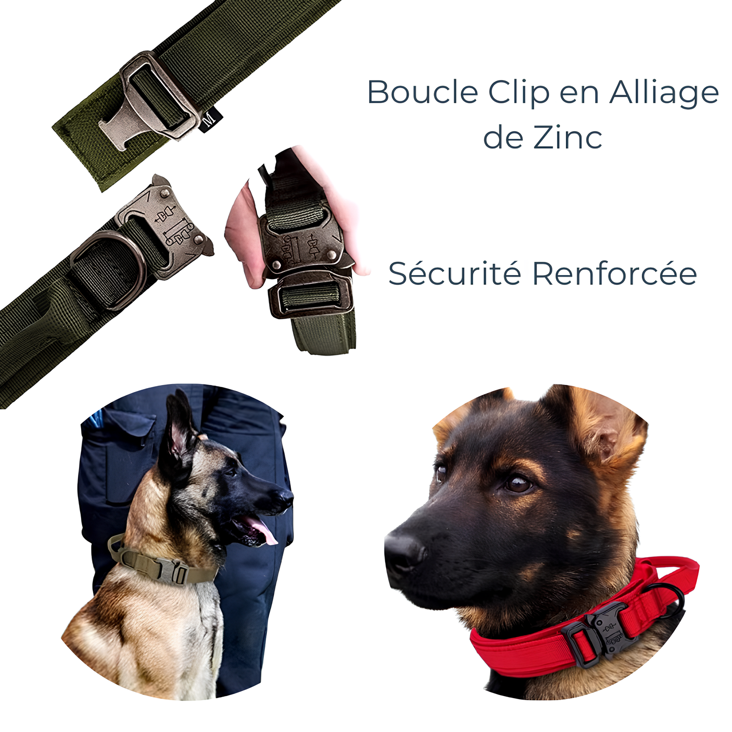 Collier seul ou Kit Collier +  Laisse Tactique - Confort et Sécurité pour Moyens et Grands Chiens