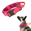 Collier K9 seul ou Kit Collier +  Laisse Tactique K9 - Confort et Sécurité pour Moyens et Grands Chiens