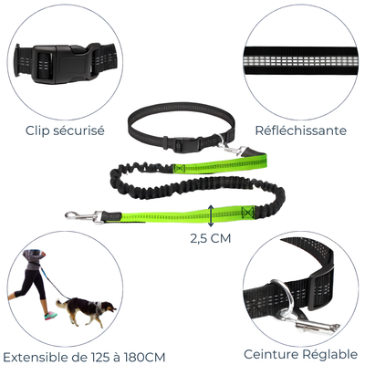 Laisse Extensible Mains Libres - Idéale pour le Sport et les Balades