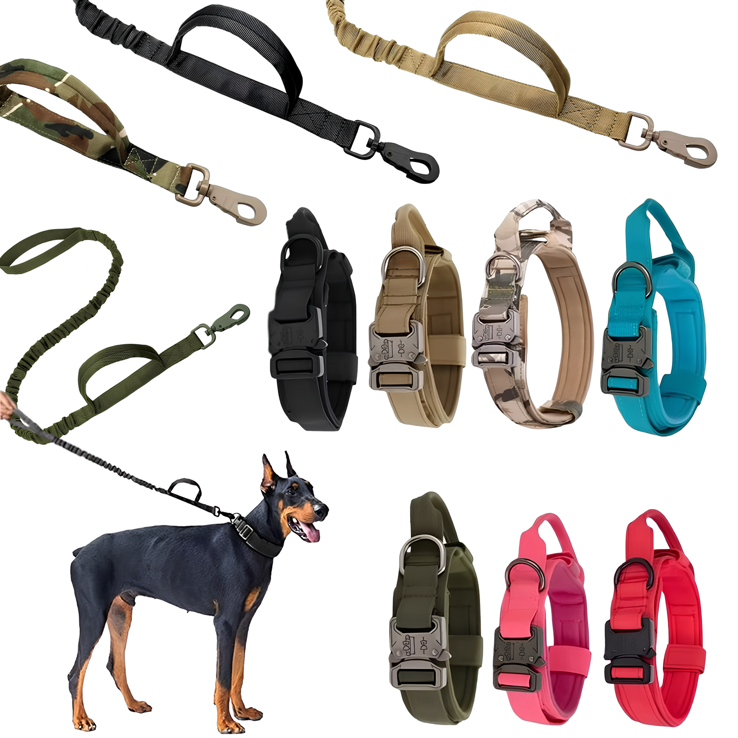 Collier seul ou Kit Collier +  Laisse Tactique - Confort et Sécurité pour Moyens et Grands Chiens