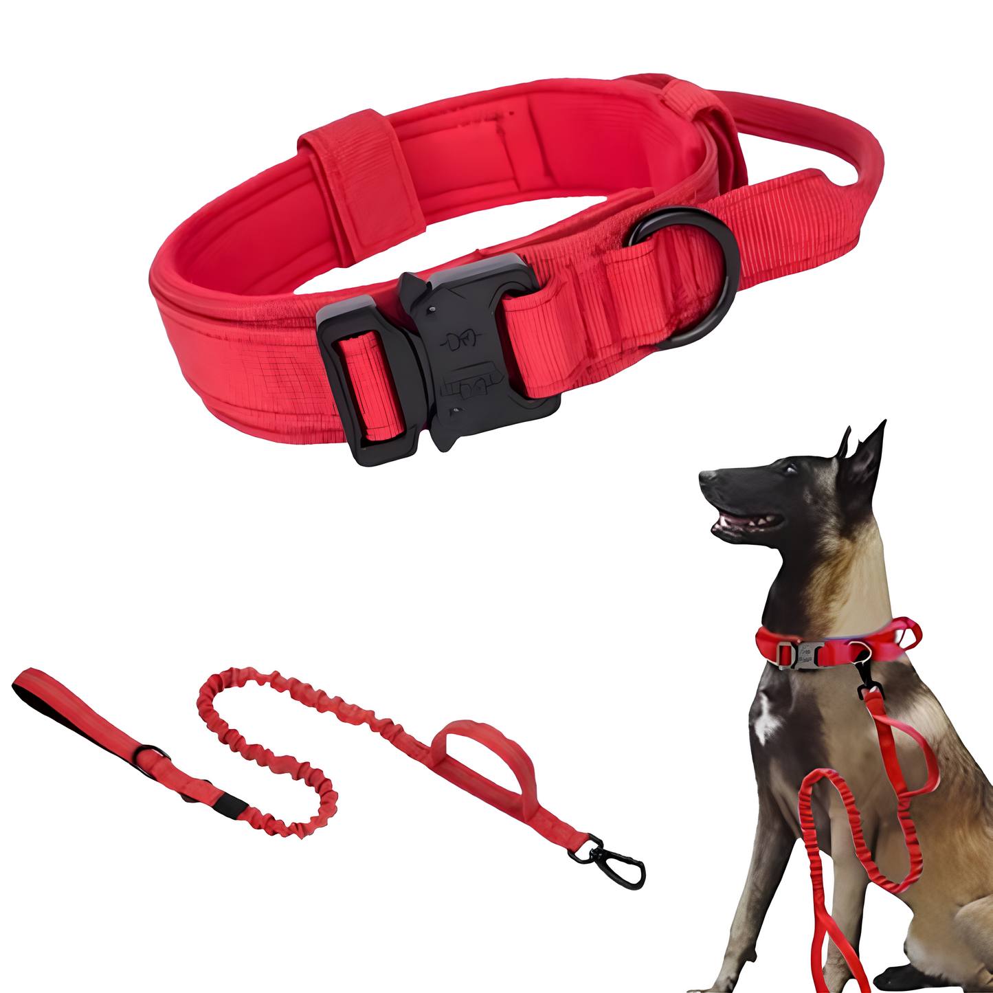 Collier seul ou Kit Collier +  Laisse Tactique - Confort et Sécurité pour Moyens et Grands Chiens