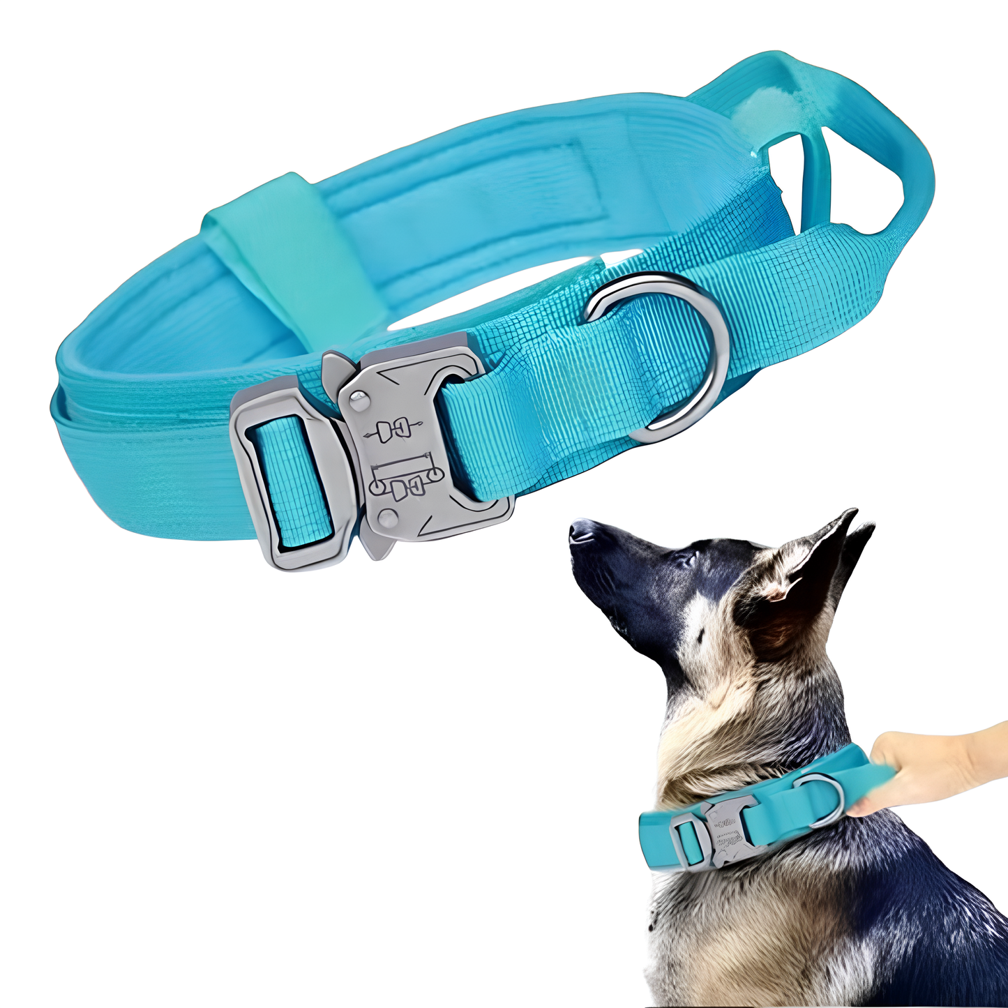 Collier seul ou Kit Collier +  Laisse Tactique - Confort et Sécurité pour Moyens et Grands Chiens