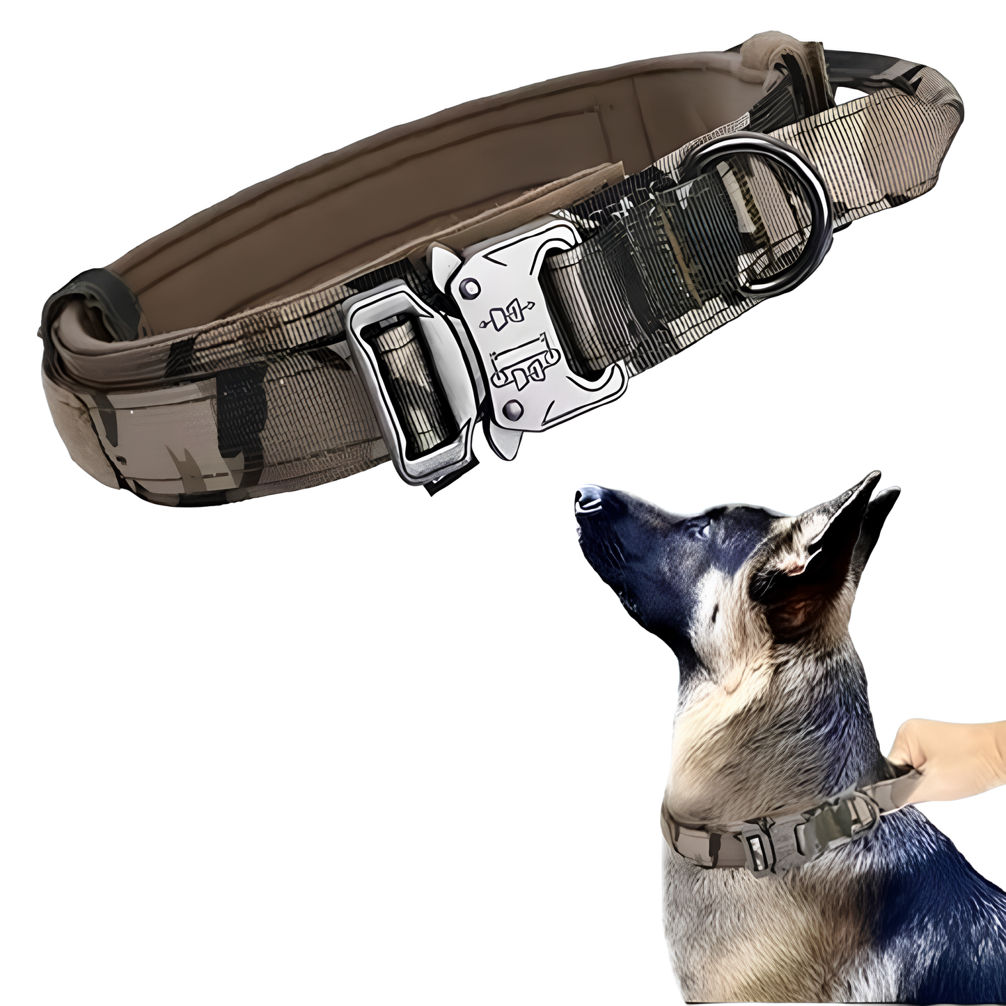 Collier seul ou Kit Collier +  Laisse Tactique - Confort et Sécurité pour Moyens et Grands Chiens