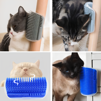 Brosse d'Auto Massage et de grattage à l'Herbe à Chats à coller ou à fixer