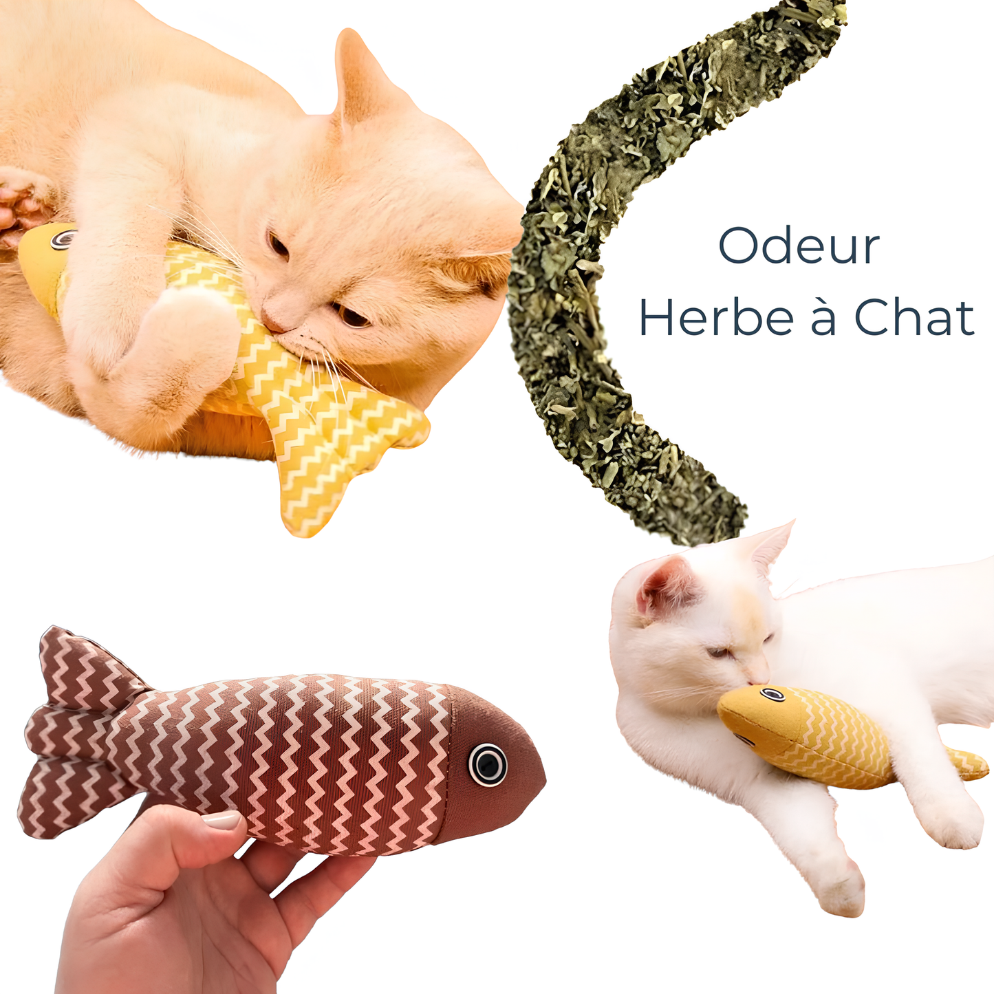 Peluche Poisson à l'Herbe à Chat - Stimulant et Amusant