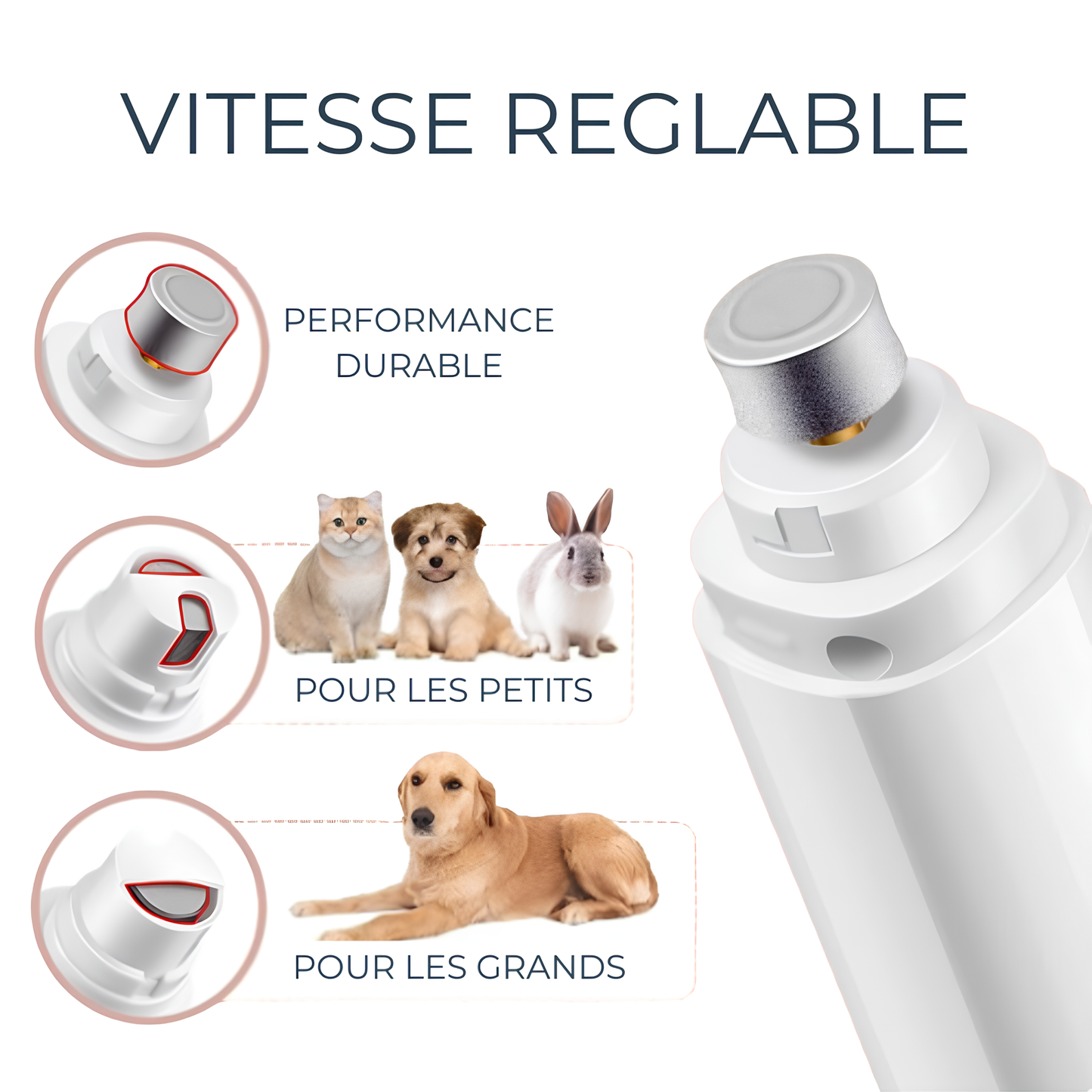 Limeur à Ongles Rechargeable à Deux Vitesses