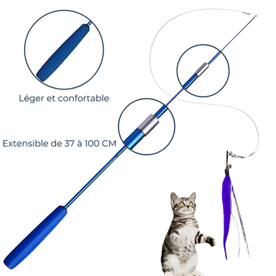 Bâton extensible à plumes